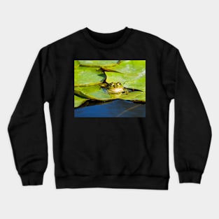 Frog Crewneck Sweatshirt